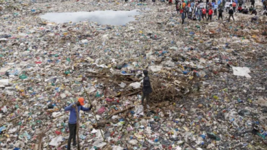Penemuan Delapan Mayat Perempuan Mutilasi di Tempat Pembuangan Sampah Mencuatkan Kengerian