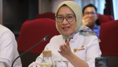 Pemerintah Tunda Pengangkatan CPNS 2025, Ini Alasan Kemenpan RB dan BKN