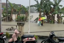 banjir Securai, Langkat, pengungsian, bantuan, BPBD
