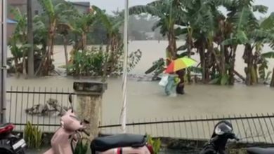 banjir Securai, Langkat, pengungsian, bantuan, BPBD